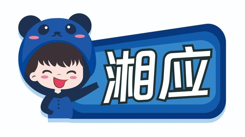 信息技术公司资质认证：费用背后的价值考量**